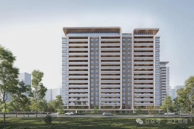 楼处发布：重新定义大虹桥改善新范本冰球突破平台热搜灿辉晶萃173售(图21)