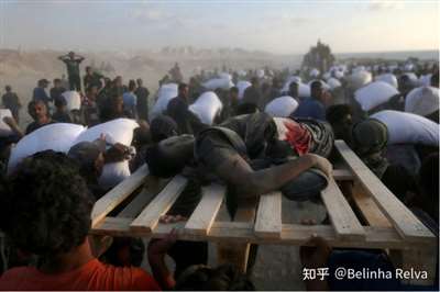 饿游戏：加沙人的死亡陷阱冰球突破豪华版手机版饥(图4)