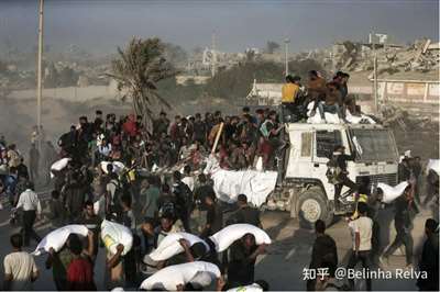 饿游戏：加沙人的死亡陷阱冰球突破豪华版手机版饥(图3)