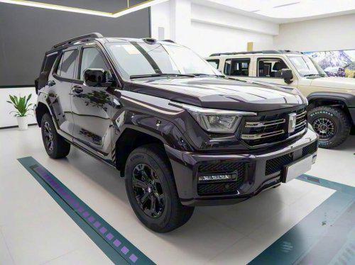 T与方程豹5看智趣烈马如何“以一抵三”冰球突破正规网站对比坦克400Hi4-(图5)